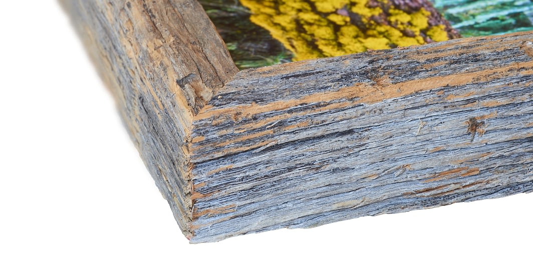 Sliver of Sequoia Frame Detail