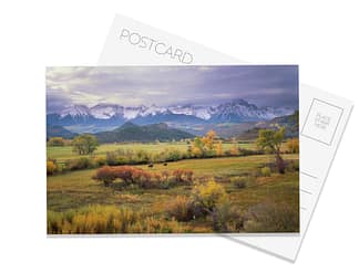 Roundup Postcard